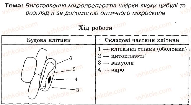 6-biologiya-sv-bezruchkova-2015-zoshit-dlya-praktichnih-robit--praktichna-robota-2-vigotovlennya-mikropreparativ-shkirki-luski-tsibuli-2.jpg