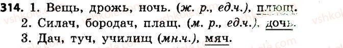 6-russkij-yazyk-an-rudyakov-tya-frolova-mg-markina-gurdzhi-2014--imya-suschestvitelnoe-314.jpg