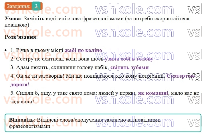 6-ukrayinska-mova-om-avramenko-2023--leksikologiya-frazeologiya-24-25-frazeologizmi-3-rnd1723.jpg