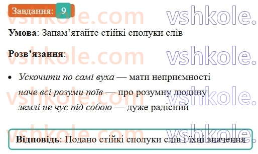 6-ukrayinska-mova-om-avramenko-2023--morfologiya-orfografiya-99-100-napisannya-zaperechnih-i-neoznachenih-zajmennikiv-9.jpg