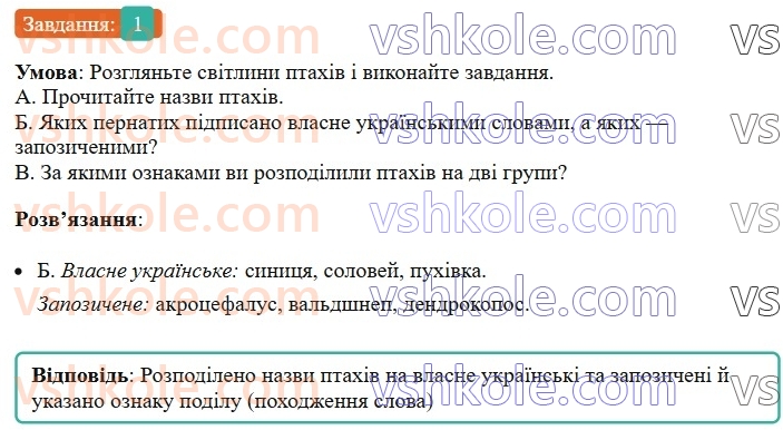 6-ukrayinska-mova-om-avramenko-2023--vstup-krasa-ta-bagatstvo-ukrayinskoyi-movi-1-milozvuchnist-ukrayinskoyi-movi-1-rnd8648.jpg