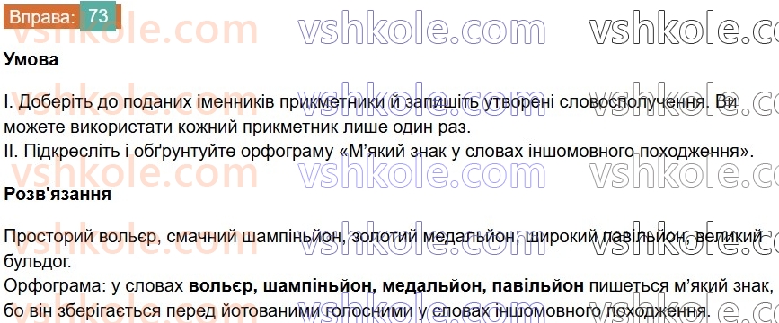 6-ukrayinska-mova-vv-zabolotnij-ov-zabolotnij-2023--leksikologiya-9-myakij-znak-v-slovah-inshomovnogo-pohodzhennya-73-rnd8729.jpg