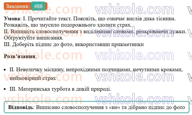 6-ukrayinska-mova-vv-zabolotnij-ov-zabolotnij-2023--morfologiya-orfografiya-55-napisannya-ne-z-prikmetnikami-488.jpg
