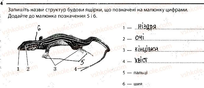 7-biologiya-km-zadorozhnij-2019-robochij-zoshit--tema-1-riznomanitnist-tvarin-11-reptiliyi-4.jpg