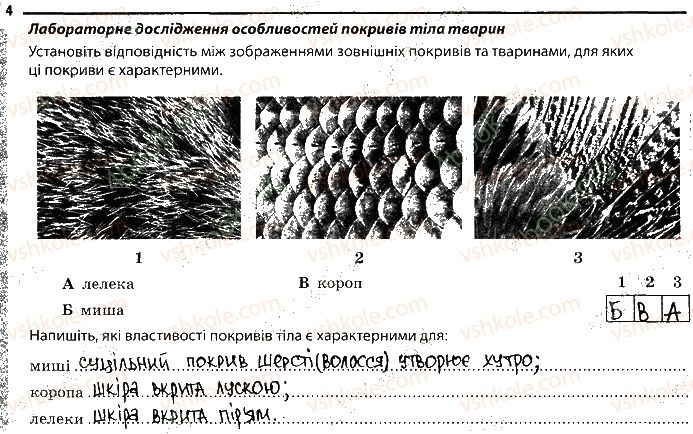 7-biologiya-km-zadorozhnij-2019-robochij-zoshit--tema-2-protsesi-zhittediyalnosti-tvarin-21-pokrivi-tila-4.jpg