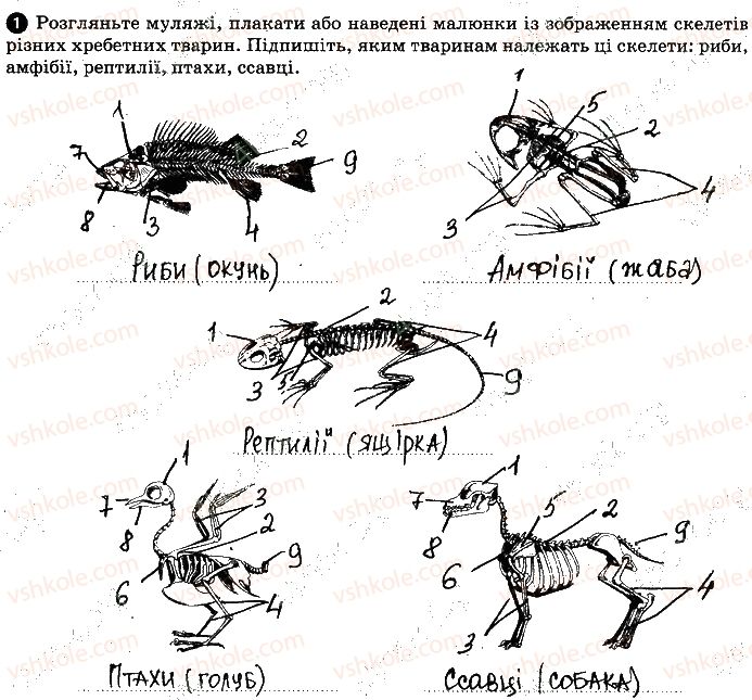 7-biologiya-km-zadorozhnij-2019-robochij-zoshit--vkladish-zoshit-dlya-praktichnih-robit-praktichna-robota-5-1-2.jpg