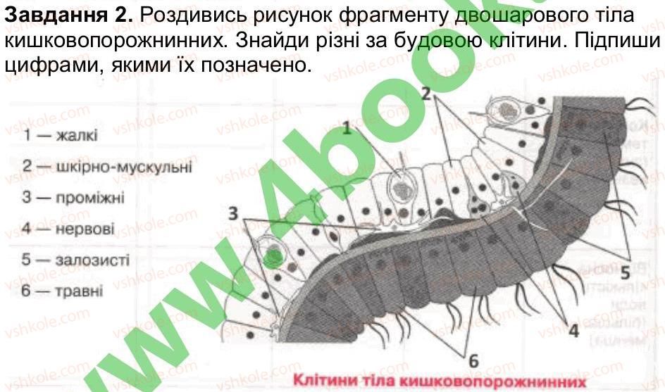 7-biologiya-oa-anderson-tk-vihrenko-2015-robochij-zoshit--storinki-6-20-storinka-14-2.jpg