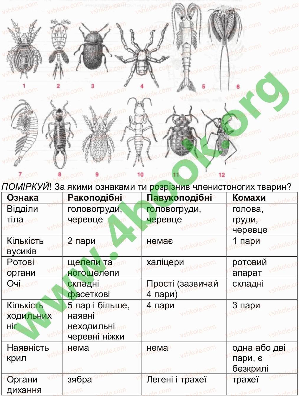 7-biologiya-oa-anderson-tk-vihrenko-2015-robochij-zoshit--storinki-6-20-storinka-18-2-rnd7480.jpg