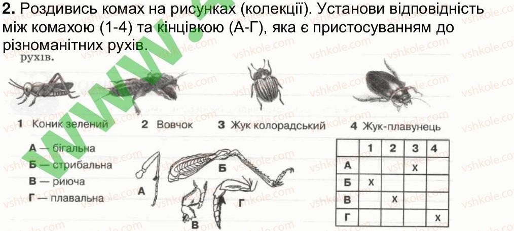 7-biologiya-oa-anderson-tk-vihrenko-2015-robochij-zoshit--storinki-6-20-storinka-20-2.jpg