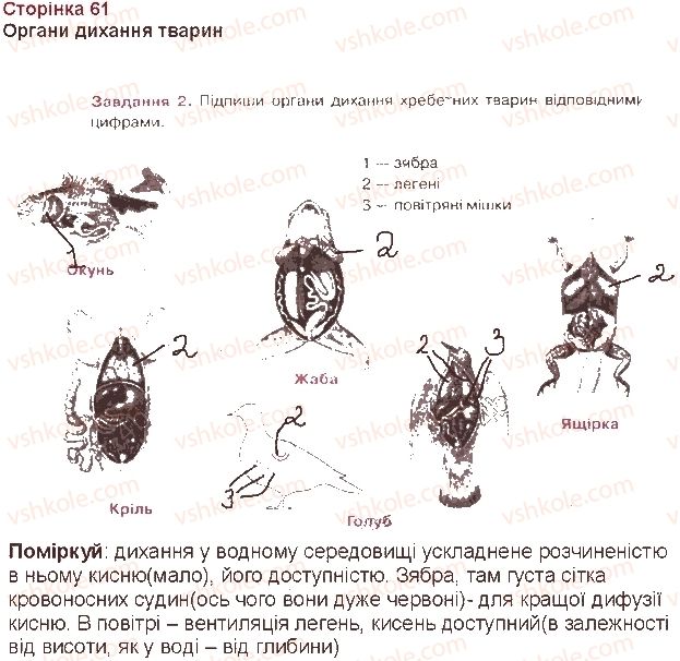 7-biologiya-oa-anderson-tk-vihrenko-2015-robochij-zoshit--storinki-61-80-storinka-61-2.jpg