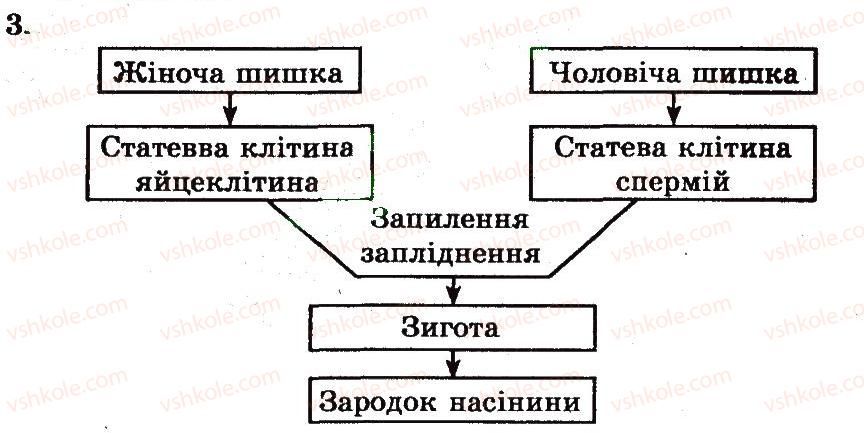 7-biologiya-ts-kotik-2011-robochij-zoshit--rozdil-2-riznomanittya-roslin-zagalna-harakteristika-golonasinnih-roslin-3.jpg