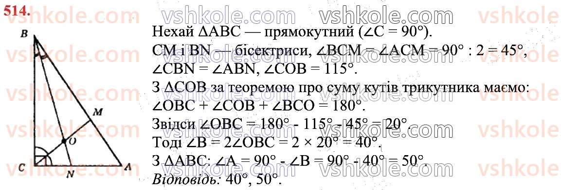 7-geometriya-os-ister-2024--rozdil-3-trikutniki-19-pryamokutni-trikutniki-514.jpg