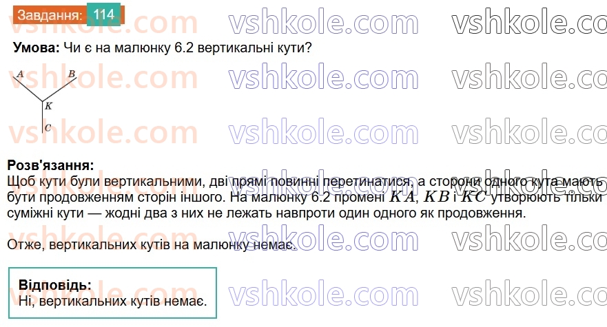 7-geometriya-os-ister-2024-nush--rozdil-2-vzayemne-rozmischennya-pryamih-na-ploschini-6-vertikalni-kuti-114.jpg