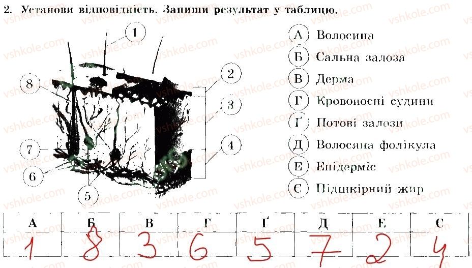 7-osnovi-zdorovya-tye-bojchenko-ip-vasilashko-ok-gurska-ns-koval-2015-zoshit--zdorovya-shkiri-2.jpg