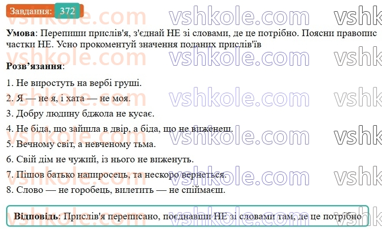 7-ukrayinska-mova-av-onatij-2024-nush--chastka-uroki-8283-napisannya-ne-ta-ni-z-riznimi-chastinami-movi-372.jpg
