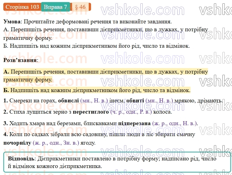 7-ukrayinska-mova-om-avramenko-2024-nush--morfologiya-orfografiya-46-vidminyuvannya-diyeprikmetnikiv-7.jpg