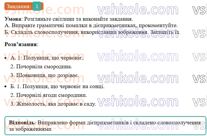 7-ukrayinska-mova-om-avramenko-2024-nush--uzagalnennya-ta-sistematizatsiya-vivchenogo-92-osoblivosti-vzhivannya-okremih-gramatichnih-form-1.jpg