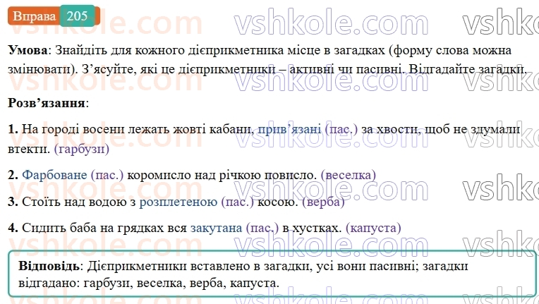 7-ukrayinska-mova-vv-zabolotnij-ov-zabolotnij-2024--diyeprikmetnik-24-dieprikmetnik-yak-forma-dieslova-205.jpg