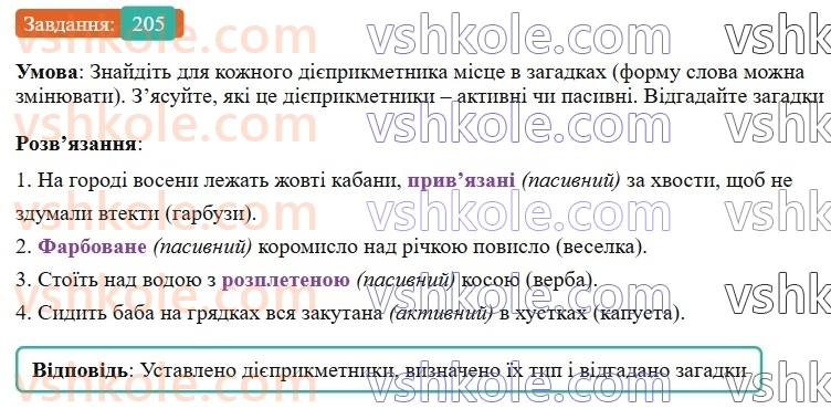 7-ukrayinska-mova-vv-zabolotnij-ov-zabolotnij-2024--diyeprikmetnik-24-diyeprikmetnik-yak-forma-diyeslova-205-rnd5852.jpg