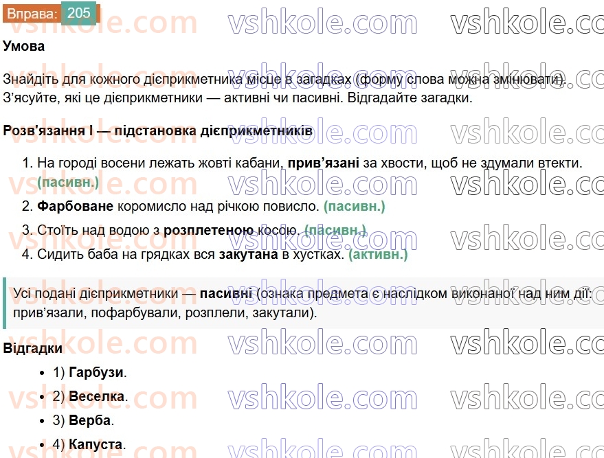 7-ukrayinska-mova-vv-zabolotnij-ov-zabolotnij-2024--diyeprikmetnik-24-diyeprikmetnik-yak-forma-diyeslova-205.jpg