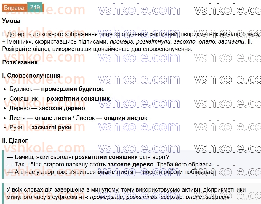 7-ukrayinska-mova-vv-zabolotnij-ov-zabolotnij-2024--diyeprikmetnik-25-tvorennya-ta-vidminyuvannya-aktivnih-diyeprikmetnikiv-219.jpg