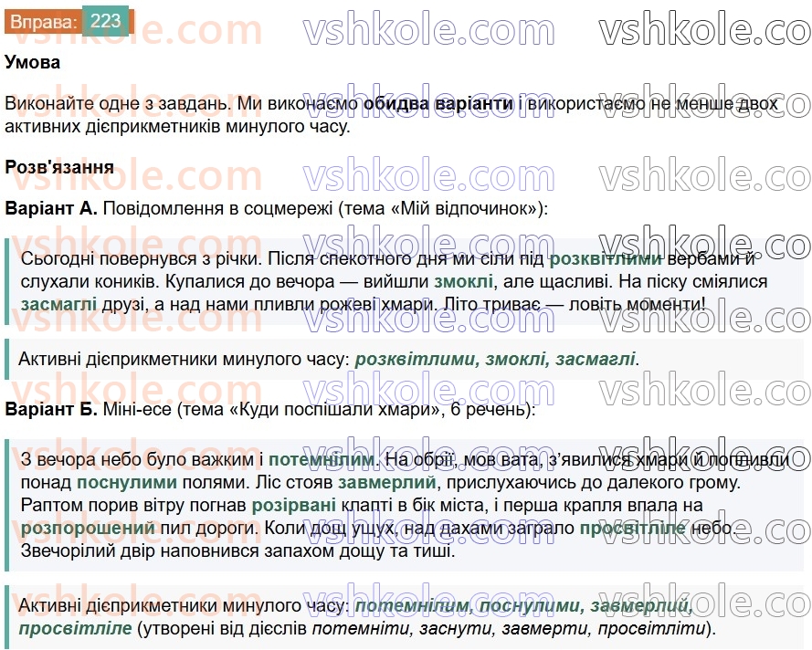 7-ukrayinska-mova-vv-zabolotnij-ov-zabolotnij-2024--diyeprikmetnik-25-tvorennya-ta-vidminyuvannya-aktivnih-diyeprikmetnikiv-223.jpg