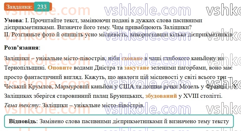 7-ukrayinska-mova-vv-zabolotnij-ov-zabolotnij-2024--diyeprikmetnik-26-tvorennya-ta-vidminyuvannya-pasivnih-diyeprikmetnikiv-233-rnd6378.jpg