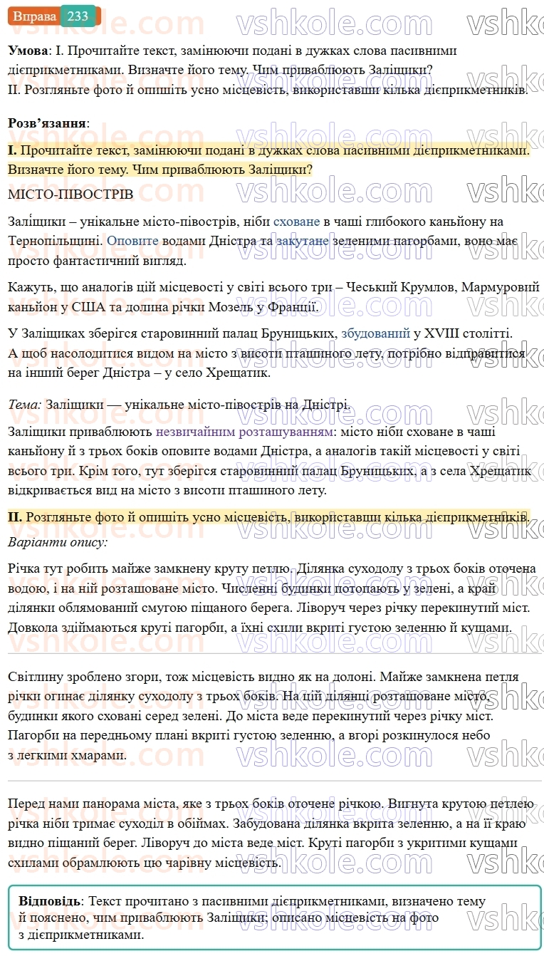 7-ukrayinska-mova-vv-zabolotnij-ov-zabolotnij-2024--diyeprikmetnik-26-tvorennya-ta-vidminyuvannya-pasivnih-diyeprikmetnikiv-233-rnd8582.jpg