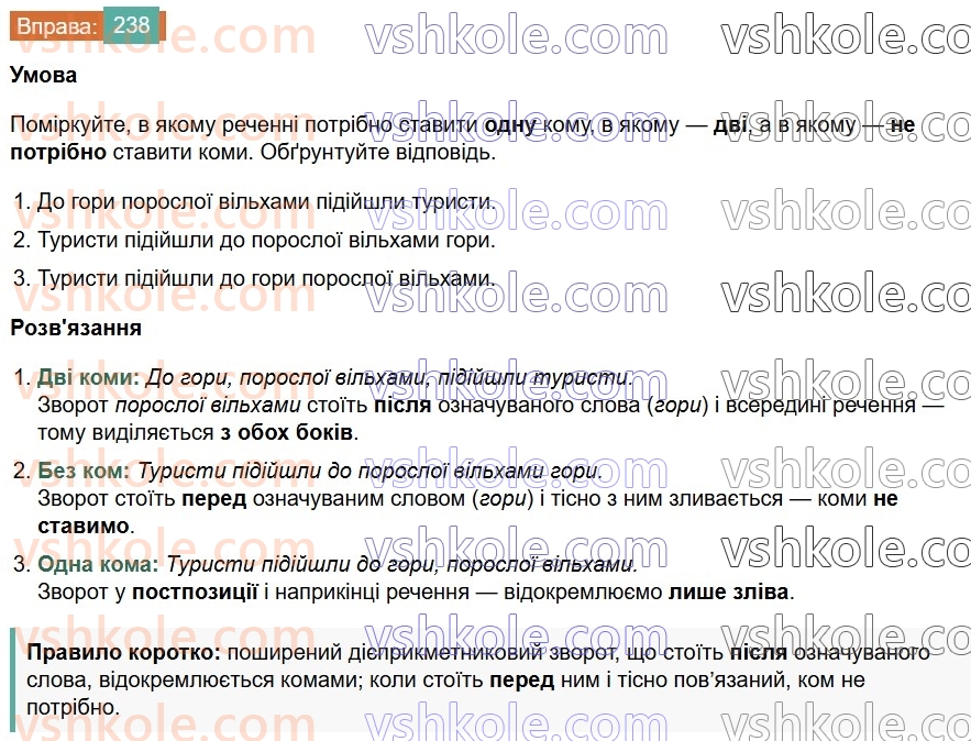 7-ukrayinska-mova-vv-zabolotnij-ov-zabolotnij-2024--diyeprikmetnik-27-diyeprikmetnikovij-zvorot-238.jpg