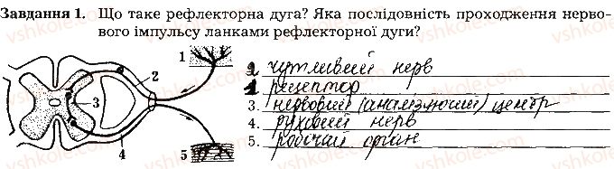 8-biologiya-la-mirna-vo-virkun-myu-bityuk-2016-robochij-zoshit--tema-7-nervova-sistema-ст81завд1.jpg