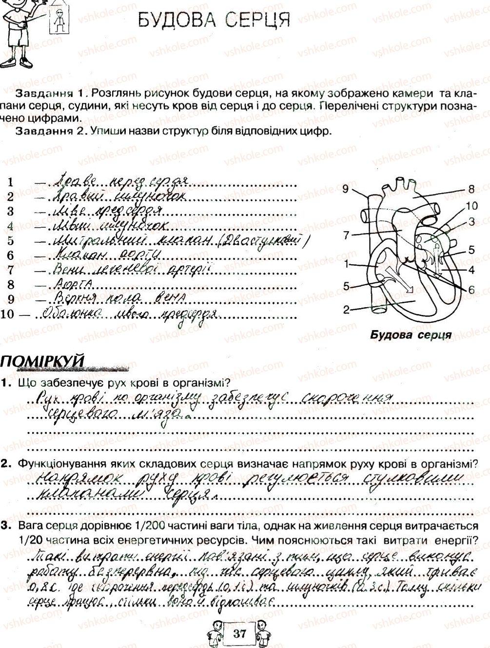 8-biologiya-ma-vihrenko-oa-anderson-sm-miyus-2016--storinki-21-40-37.jpg