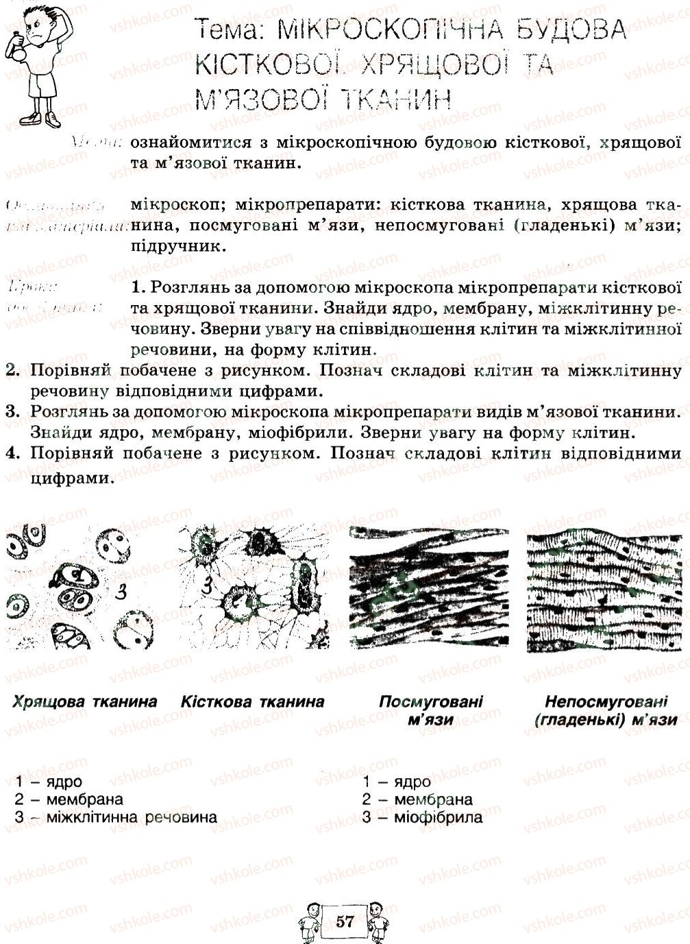 8-biologiya-ma-vihrenko-oa-anderson-sm-miyus-2016--storinki-41-60-57.jpg