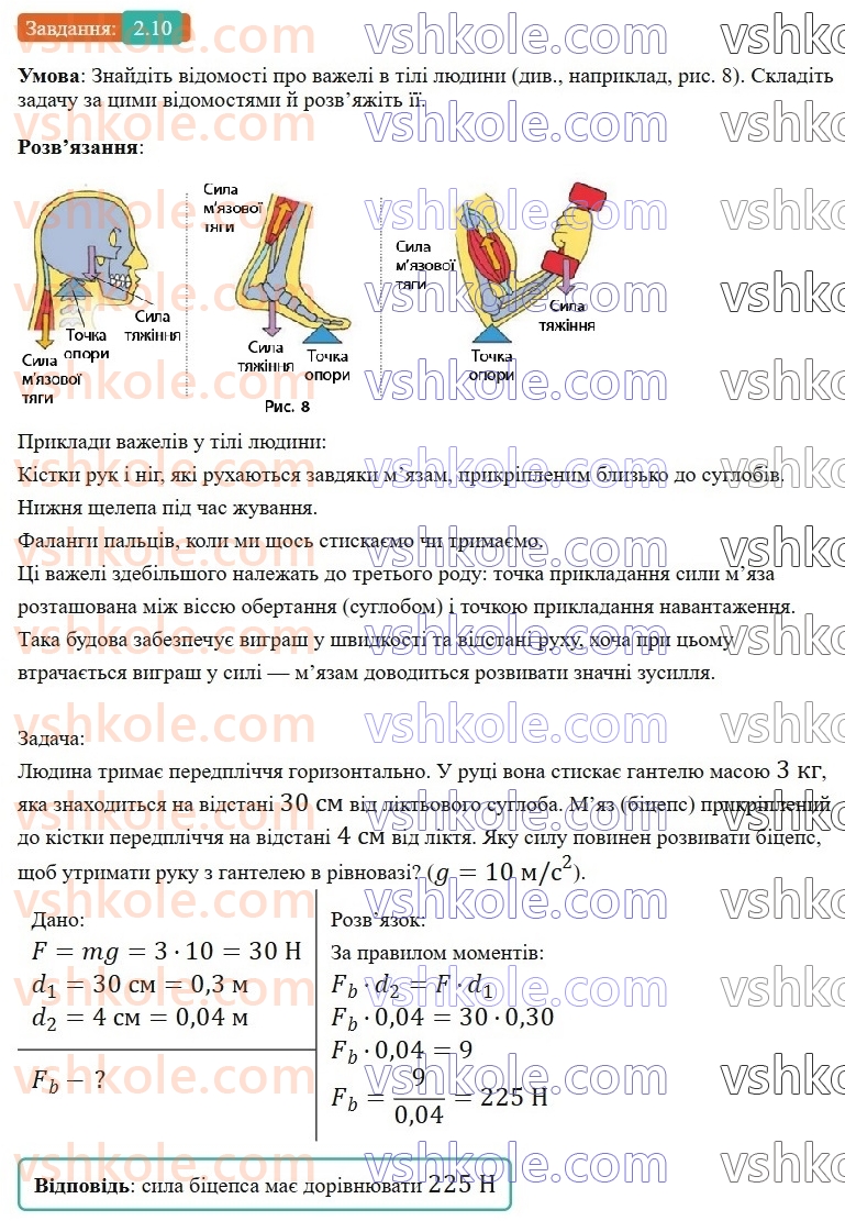 8-fizika-vg-baryahtar-fya-bozhinova-so-dovgij-mm-kiryuhin-oo-kiryuhina-2025--rozdil-1-moment-sili-mehanichna-robota-ta-energiya-2-vazhil-moment-sili-umova-rivnovagi-vazhelya-10.jpg