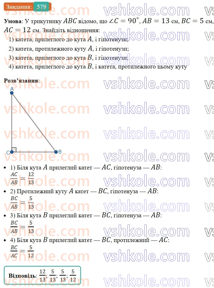 8-geometriya-ag-merzlyak-vb-polonskij-ms-yakir-2025--3-rozvyazuvannya-pryamokutnih-trikutnikiv-16-teorema-pifagora-579.jpg