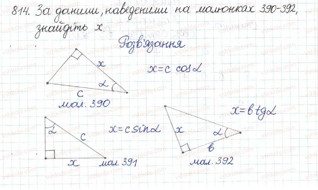 8-geometriya-mi-burda-na-tarasenkova-2016--rozdil-3-rozvyazuvannya-pryamokutnih-trikutnikiv-17-spivvidnoshennya-mizh-storonami-i-kutami-pryamokutnogo-trikutnika-814.jpg