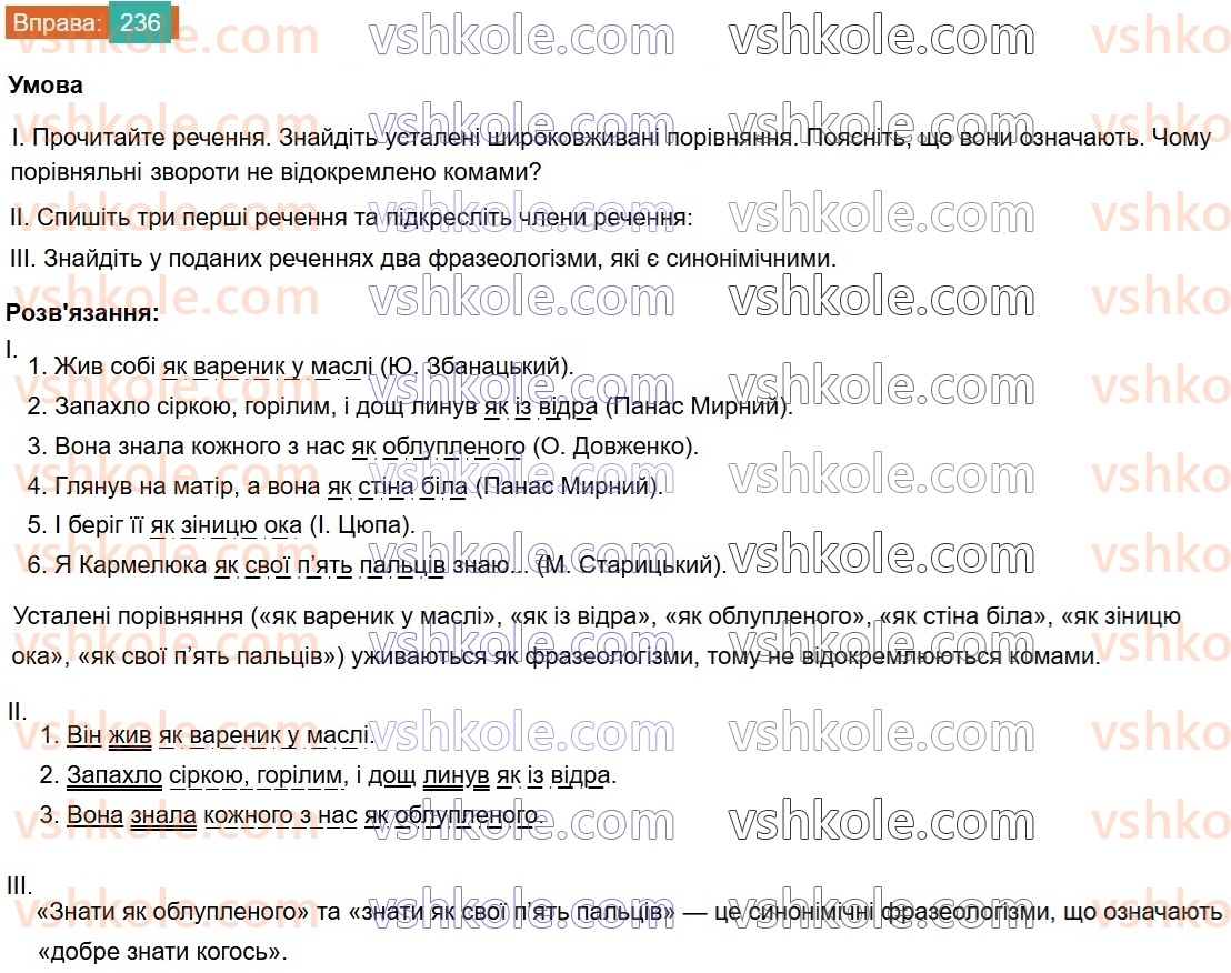 8-ukrayinska-mova-vv-zabolotnij-ov-zabolotnij-2025--sintaksis-i-punktuatsiya-22-porivnyalnij-zvorot-236.jpg