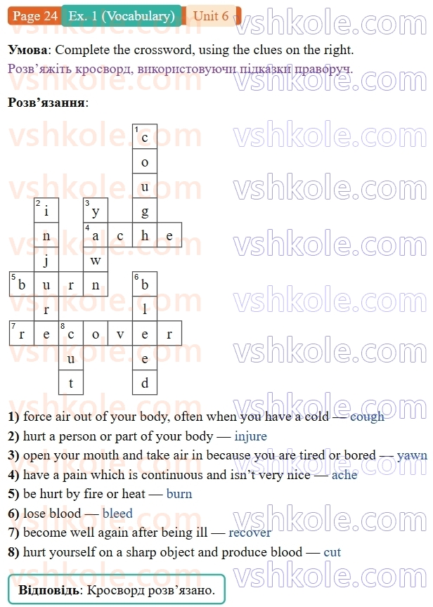 9-anglijska-mova-gelen-chilton-robochij-zoshit--units-58-6-take-care-of-yourself-p24ex1.V.jpg