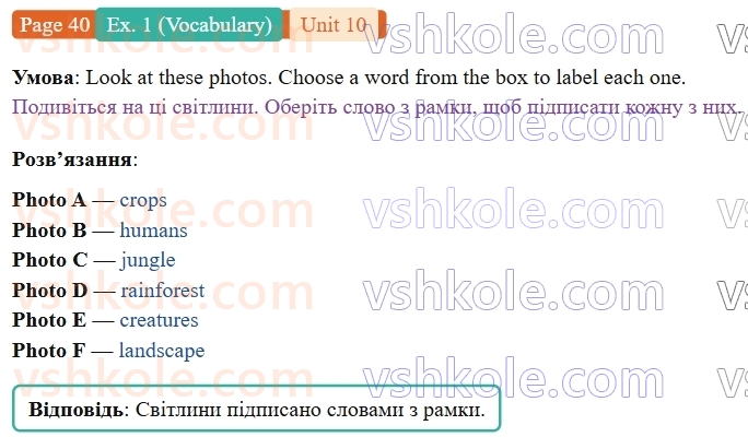 9-anglijska-mova-gelen-chilton-robochij-zoshit--units-912-10-animals-in-danger-p40ex1.V.jpg