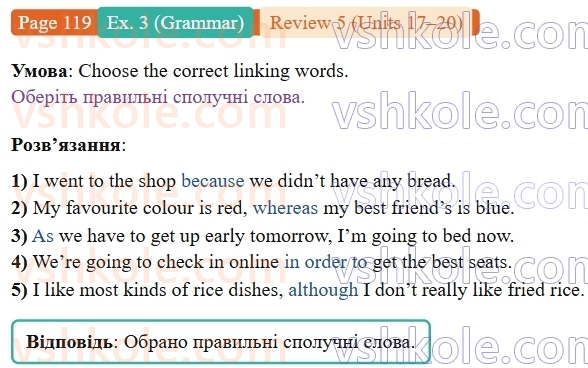 9-anglijska-mova-niki-dzhozef--units-17-20-review-5-p119ex3.G.jpg