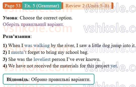 9-anglijska-mova-niki-dzhozef--units-5-8-review-2-p53ex5.G-rnd8705.jpg