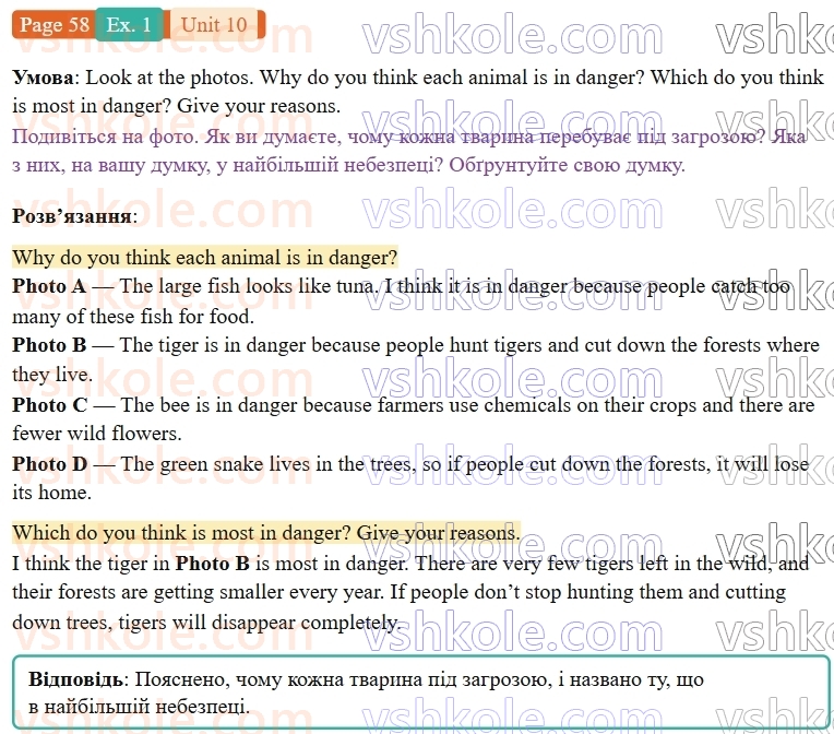 9-anglijska-mova-niki-dzhozef--units-9-12-unit-10-animals-in-danger-p58ex1.jpg