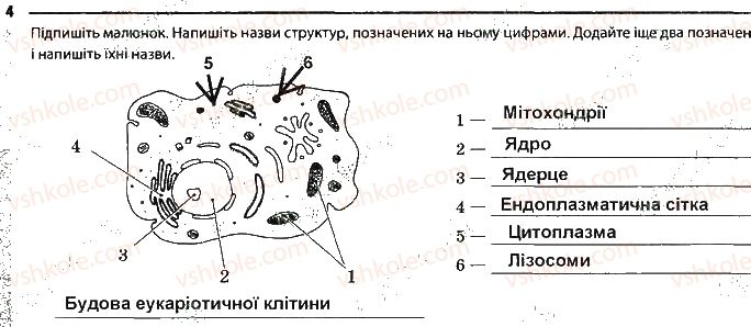9-biologiya-km-zadorozhnij-2017-robochij-zoshit--tema-2-struktura-klitini-storinka-16-4.jpg