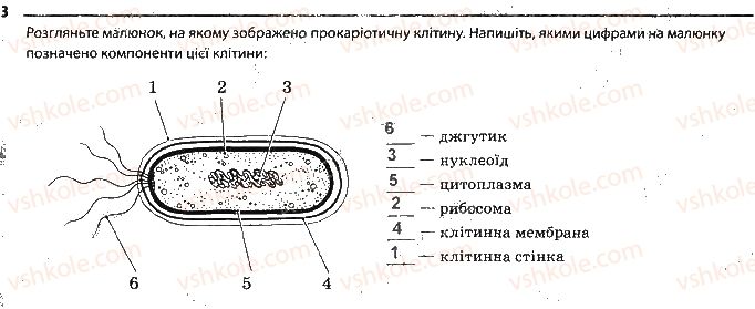 9-biologiya-km-zadorozhnij-2017-robochij-zoshit--tema-2-struktura-klitini-storinka-18-3.jpg