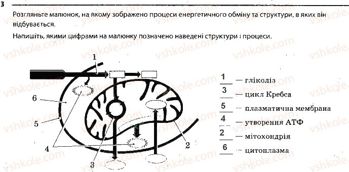 9-biologiya-km-zadorozhnij-2017-robochij-zoshit--tema-3-printsipi-funktsionuvannya-klitin-storinka-20-3.jpg