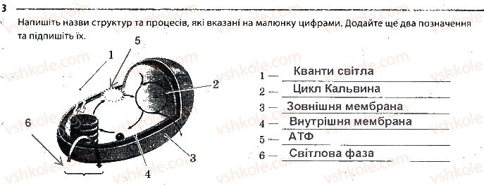 9-biologiya-km-zadorozhnij-2017-robochij-zoshit--tema-3-printsipi-funktsionuvannya-klitin-storinka-22-3.jpg