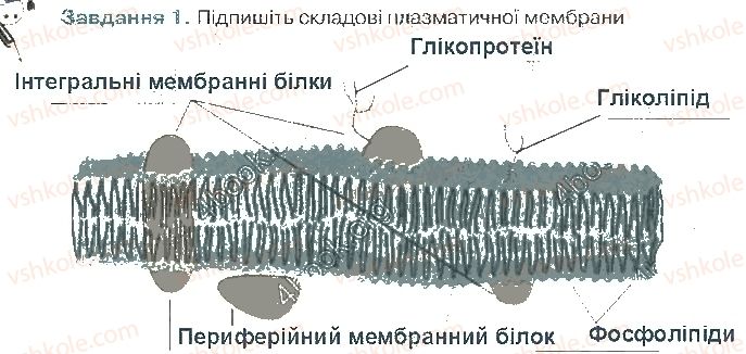 9-biologiya-oa-anderson-ma-vihrenko-2017-robochij-zoshit--struktura-klitini-ст24завд1.jpg