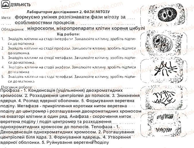 9-biologiya-vi-sobol-2017-robochij-zoshit--tema-4-zberezhennya-ta-realizatsiya-spadkovoyi-informatsiyi-ст39-rnd8603.jpg