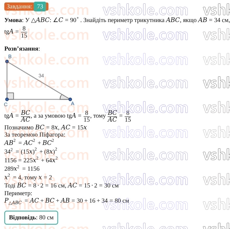 9-geometriya-os-ister--povtoryuyemo-geometriyu-za-8-klas-73.jpg