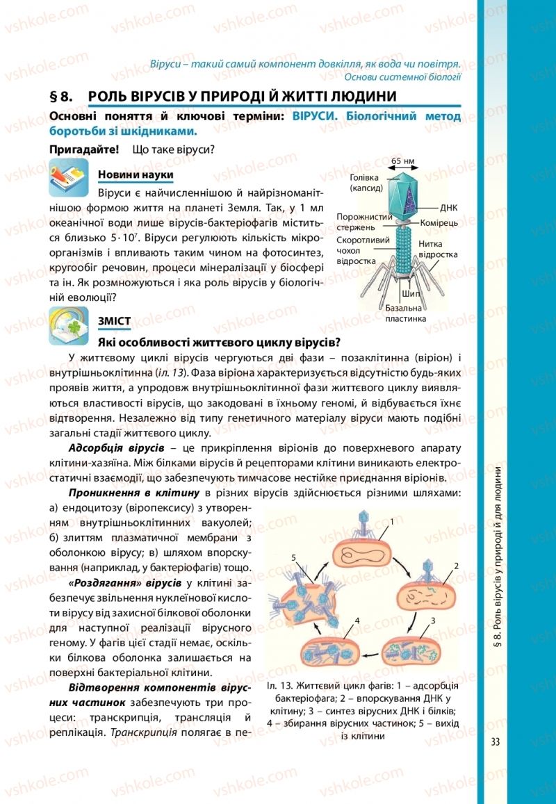 Страница 33 | Підручник Біологія 10 клас В.І. Соболь 2018