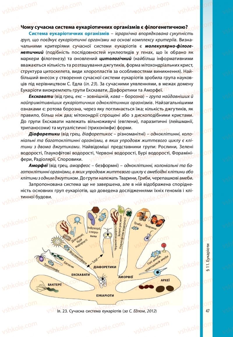 Страница 47 | Підручник Біологія 10 клас В.І. Соболь 2018